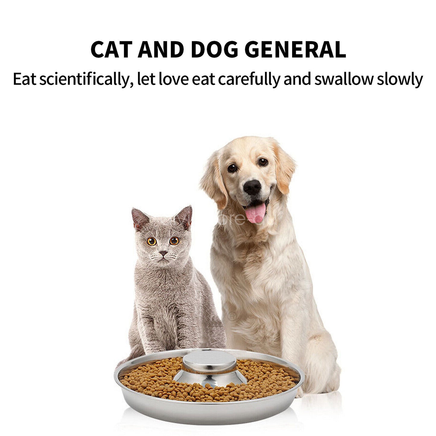 Pet Feeder Bowl Stainless Dish Puppy Dog Cat Litter Food Feeding Weaning Bowl AU