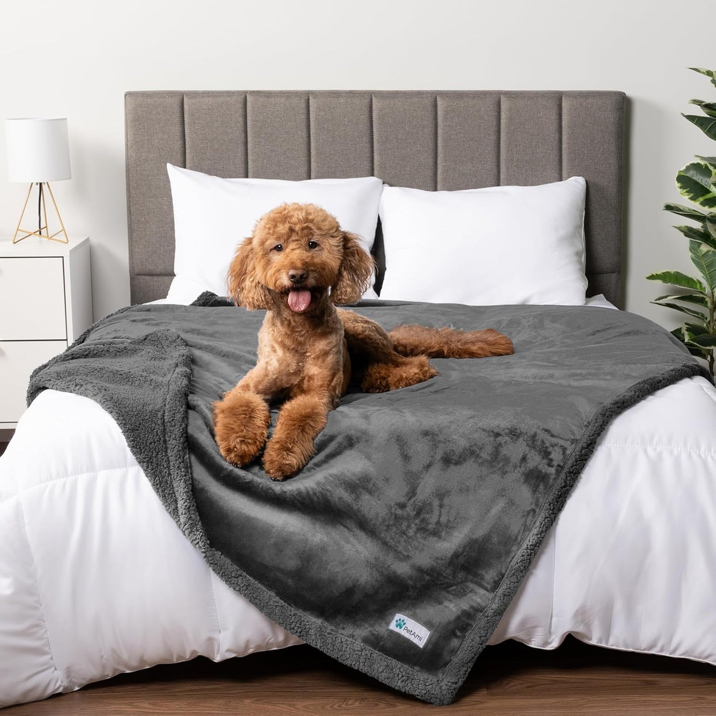 Waterproof Dog Blanket for Bed, Couch, Sofa | Waterproof Dog Bed Cover for Large Dogs, Puppies | Sherpa Fleece Pet Blanket Furniture Protector | Reversible Microfiber